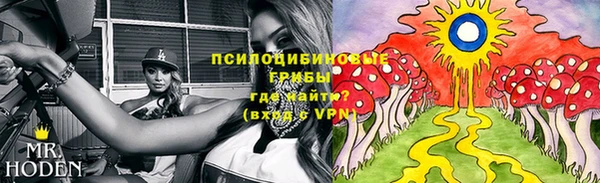 СК Балахна